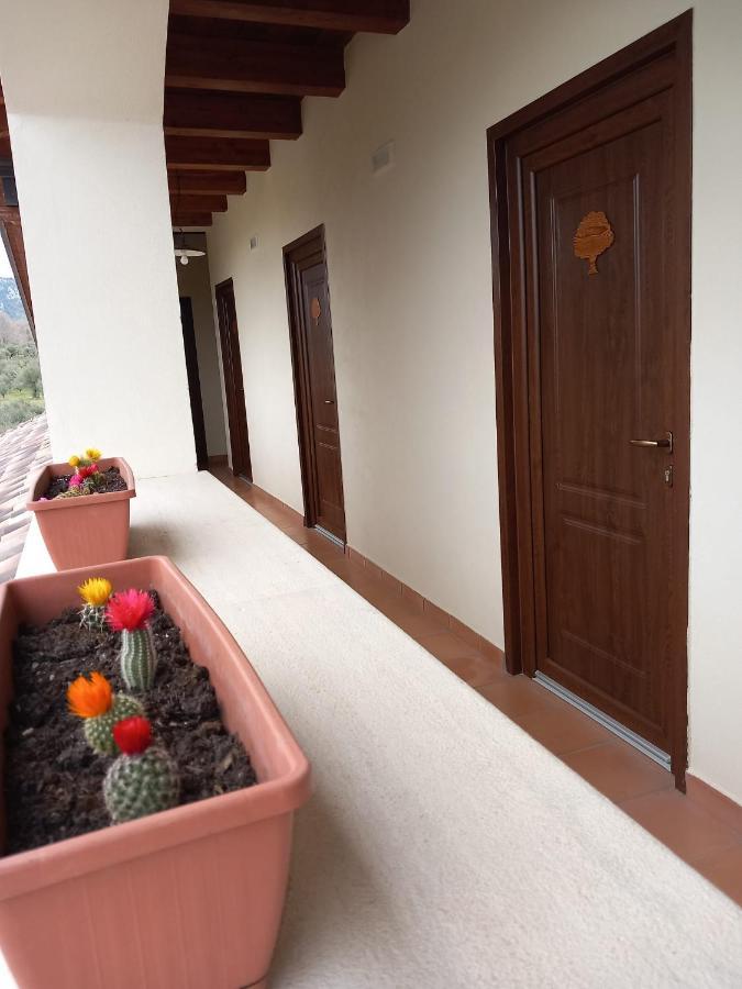 Agriturismo L'Ulivo Padula Ngoại thất bức ảnh