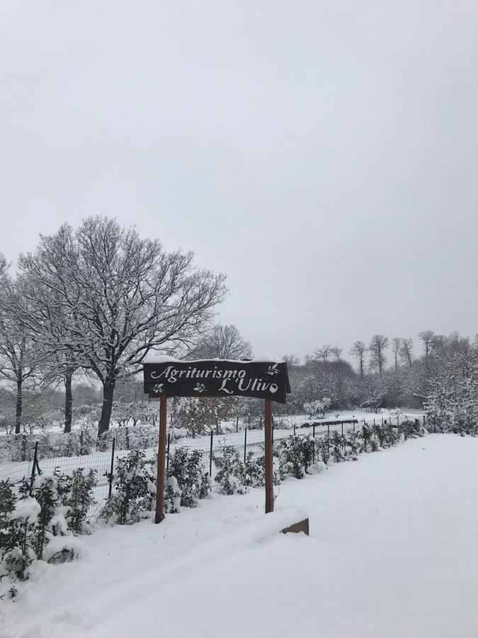 Agriturismo L'Ulivo Padula Ngoại thất bức ảnh