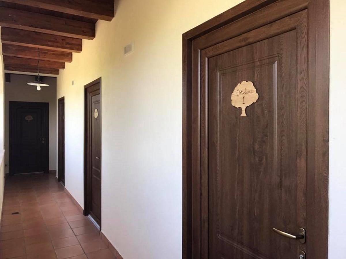 Agriturismo L'Ulivo Padula Ngoại thất bức ảnh
